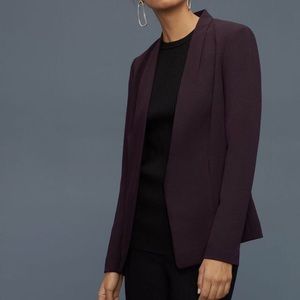Aritzia Babaton ‘Keith’ blazer